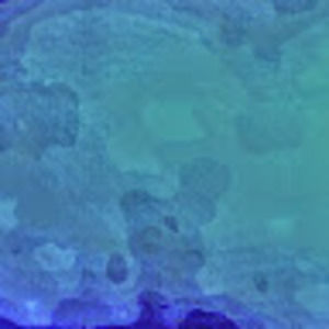 Meet your Posher, Dan